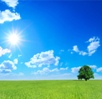 Agriculture Use Photo