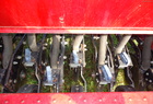 1979 International Harvester 5100