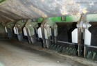 2010 John Deere 9770 STS