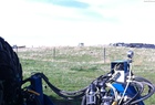  Kinze 3700