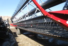 2005 Honey Bee SP36