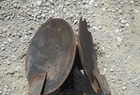  Other TRASH WHIPPERS