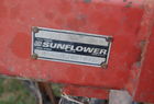  Sunflower 1434-26