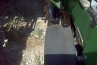 2011 John Deere 1770NT