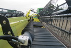 1998 Honey Bee SP36