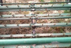 2011 KMC 03-FVC-6