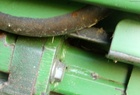 2005 John Deere 635F