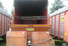 1982 H&S 501