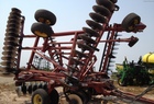 2000 Sunflower 1233-29