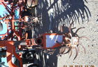 Flex King km33
