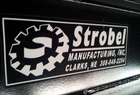 2009 Strobel 2 place
