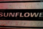 2003 Sunflower 9433