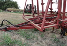  Sunflower 2430