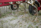 1995 Wil-Rich 3400