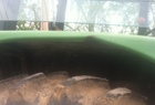 1985 John Deere 2350