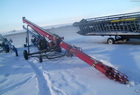 2009 Wheat-Heart 10X41