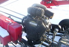 2009 Wheat-Heart 10X41