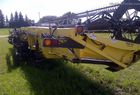 2003 Honey Bee WS36