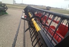 2010 Case IH 2020