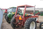 1981 International 484