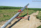  Mayrath 10X31