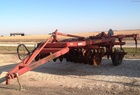  Sunflower 4310