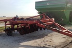  Sunflower 4310