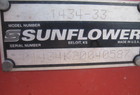  Sunflower 1434-33
