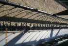 2008 John Deere 630F