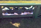 1993 John Deere 843