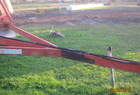 2002 RJ RJW2430