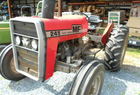 1981 Massey - Ferguson 245