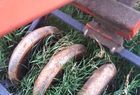  Bourgault 5710