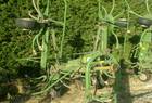 2004 KRONE KW 5.50/4X7