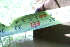 2011 Ezee-On 8550
