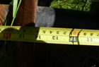 2011 Ezee-On 8550