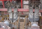 2006 WIC 2700