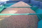 2005 Demco 950