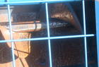 2008 Brandt 10X70