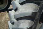 1998 Wilmar 8100
