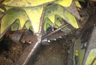2006 John Deere 686
