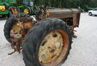 1956 John Deere A---B---60---- 8W sickle mower