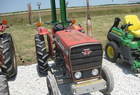 1981 Massey - Ferguson 205