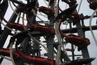  Flexi - Coil 5000
