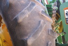 1998 John Deere 8400