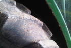 2001 John Deere 6410