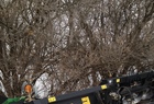 2008 Gerringhoff RD830