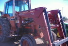 1981 International 1086
