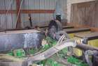 1998 John Deere 1770