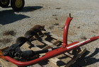 2008 Other Post Hole Digger(sold through Owens Farm Equipment)